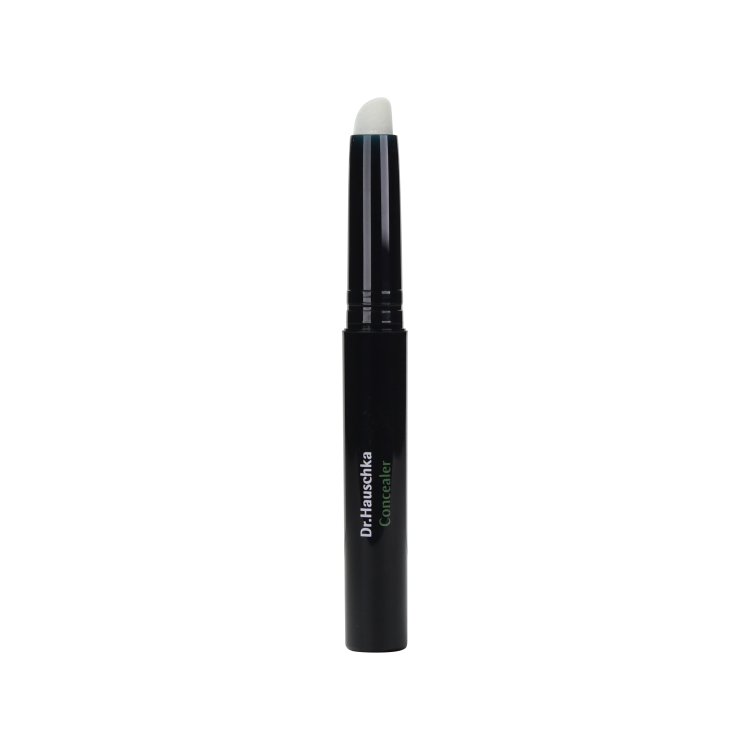 Hauschka Concealer 02 Chestnut