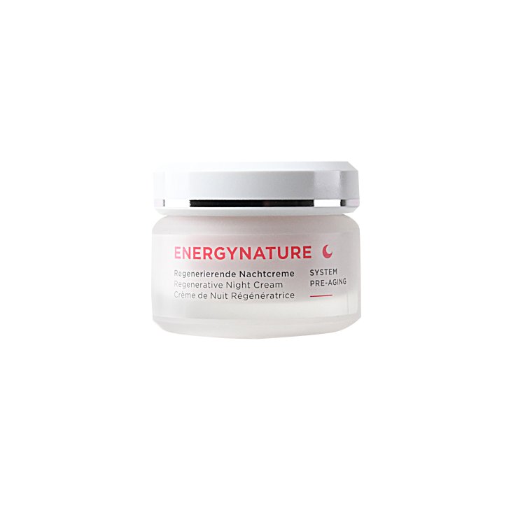 Annemarie Börlind EnergyNature Nachtcreme