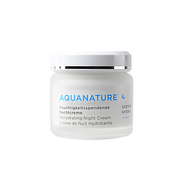Annemarie Börlind AquaNature Nachtcreme