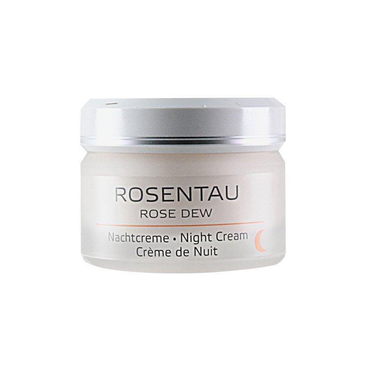 Annemarie Börlind Rosentau Nachtcreme